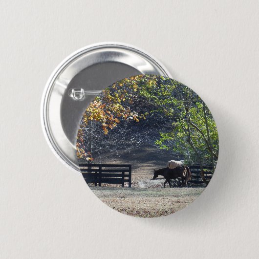 Braunes Pferd durch den Zaun Button (Vorne & Hinten)