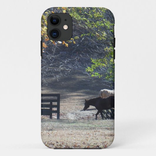 Braunes Pferd durch den Zaun Case-Mate iPhone Hülle (Rückseite)