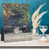 Braunes Pferd durch den Zaun Fotoplatte (Seite)