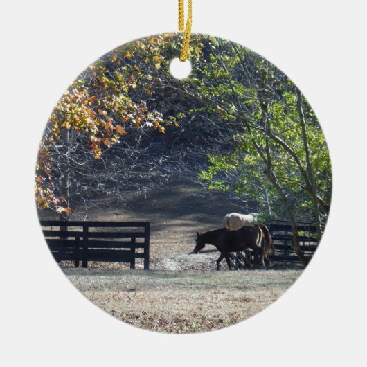 Braunes Pferd durch den Zaun Keramikornament (Vorne)