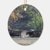 Braunes Pferd durch den Zaun Keramikornament (Links)