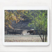 Braunes Pferd durch den Zaun Mousepad (Vorne)