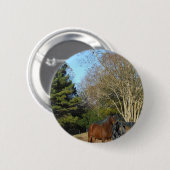 Braunes Pferd gegen einen Zaun Button (Vorne & Hinten)