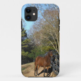 Braunes Pferd gegen einen Zaun Case-Mate iPhone Hülle