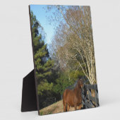 Braunes Pferd gegen einen Zaun Fotoplatte (Seite)