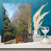 Braunes Pferd gegen einen Zaun Fotoplatte (Seite)