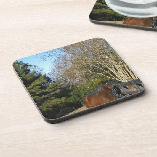 Braunes Pferd gegen einen Zaun Getränkeuntersetzer (Linke Seite)