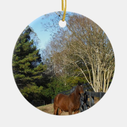 Braunes Pferd gegen einen Zaun Keramikornament (Vorne)