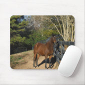 Braunes Pferd gegen einen Zaun Mousepad (Mit Mouse)
