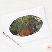 Braunes Pferd gegen einen Zaun Ovaler Aufkleber (Umschlag)