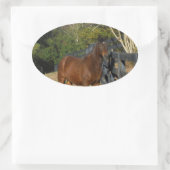 Braunes Pferd gegen einen Zaun Ovaler Aufkleber (Tasche)