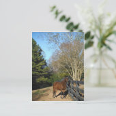 Braunes Pferd gegen einen Zaun Postkarte (Stehend Vorderseite)