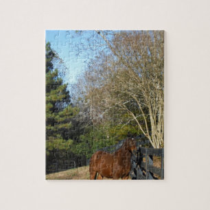 Braunes Pferd gegen einen Zaun Puzzle
