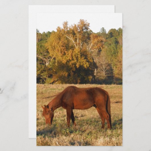 Braunes Pferd im Gelbbaumfeld Briefpapier (Vorne/Hinten)