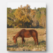 Braunes Pferd im Gelbbaumfeld Fotoplatte (Vorderseite)