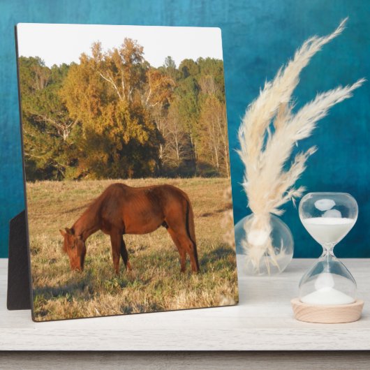 Braunes Pferd im Gelbbaumfeld Fotoplatte (Seite)