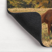 Braunes Pferd im Gelbbaumfeld Mousepad (Ecke)