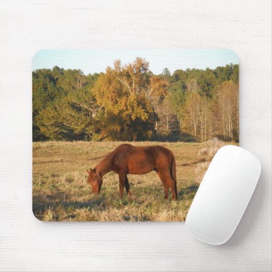 Braunes Pferd im Gelbbaumfeld Mousepad (Mit Mouse)