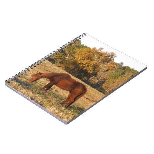 Braunes Pferd im Gelbbaumfeld Notizblock (Linke Seite)