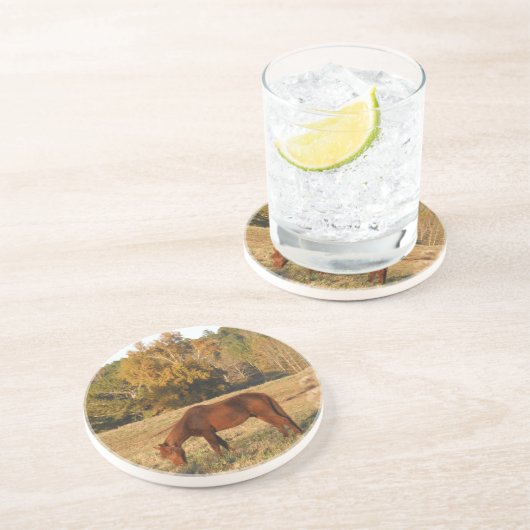 Braunes Pferd im Gelbbaumfeld Untersetzer (Seite)