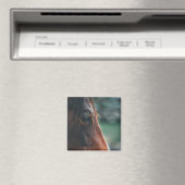 Braunes Pferd im Nahen Magnet (In Situ (Geschirrspüler))