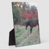 Braunes Pferd im roten Herbst Fotoplatte (Seite)