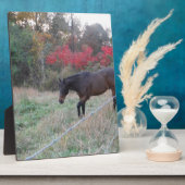 Braunes Pferd im roten Herbst Fotoplatte (Seite)