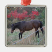 Braunes Pferd im roten Herbst Silbernes Ornament (Vorne)