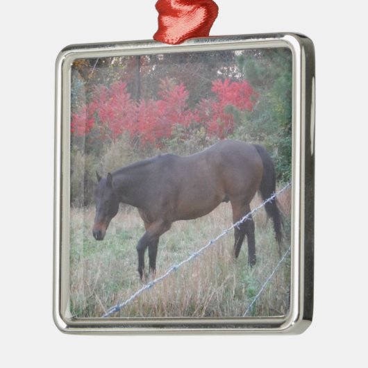 Braunes Pferd im roten Herbst Silbernes Ornament (Links)