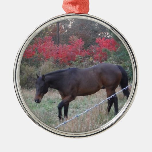 Braunes Pferd im roten Herbst Silbernes Ornament (Vorne)