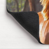 Braunes Pferd im Sonnenlicht Mousepad (Ecke)