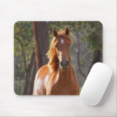 Braunes Pferd im Sonnenlicht Mousepad (Mit Mouse)