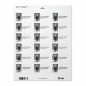 Braunes Pferd im Winterwald mit Schneefall Adressaufkleber (Vorne)