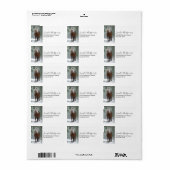 Braunes Pferd im Winterwald mit Schneefall Adressaufkleber (Vorne)