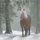Braunes Pferd im Winterwald mit Schneefall Aufkleber (Vorderseite)