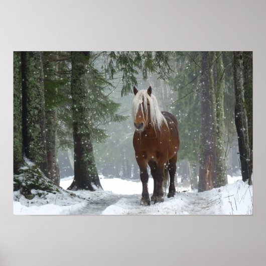 Braunes Pferd im Winterwald mit Schneefall Poster (Vorne)