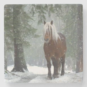 Braunes Pferd im Winterwald mit Schneefall Steinuntersetzer