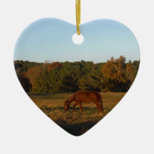 Braunes Pferd in der Sonne Keramik Ornament (Vorne)