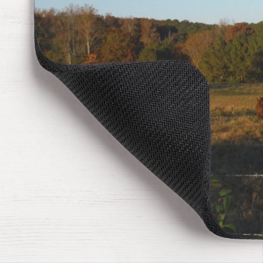 Braunes Pferd in der Sonne Mousepad (Ecke)