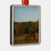 Braunes Pferd in der Sonne Ornament Aus Metall (Rechts)