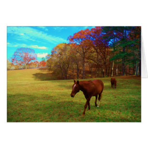 Braunes Pferd in einem Rainbow-farbenen Feld