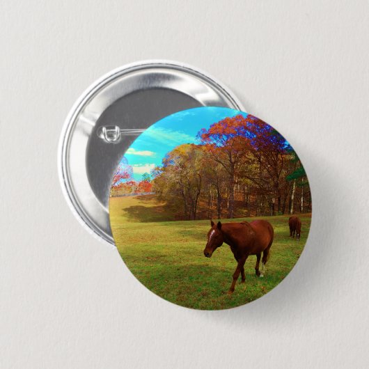 Braunes Pferd in einem Rainbow-farbenen Feld Button (Vorne & Hinten)