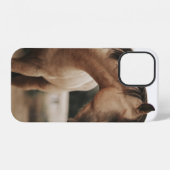 BRAUNES PFERD iPhone HÜLLE (Rückseite (Horizontal))