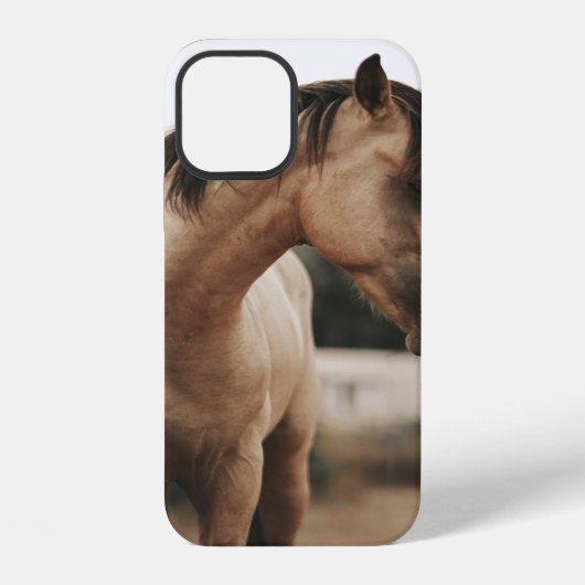 BRAUNES PFERD iPhone HÜLLE (Rückseite)