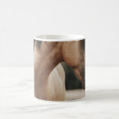 BRAUNES PFERD KAFFEETASSE (Mittel)