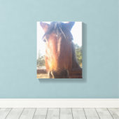 Braunes Pferd Liebe Leinwand (Insitu (Holzboden))