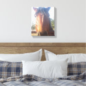 Braunes Pferd Liebe Leinwand (Insitu (Schlafzimmer))