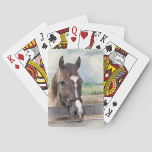 Braunes Pferd mit Bridle Deck beim Kartenspielen Spielkarten
