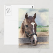 Braunes Pferd mit Bridle Postkarte (Vorne/Hinten)