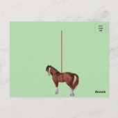Braunes Pferd mit Briefmarke Postkarte (Rückseite)